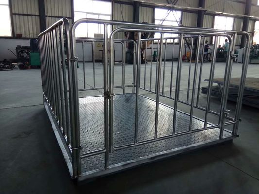Powder Coated 1t 2t 3t Livestock Weighing Scales